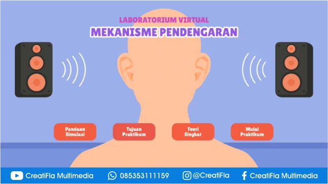 jasa Mekanisme Pendengaran