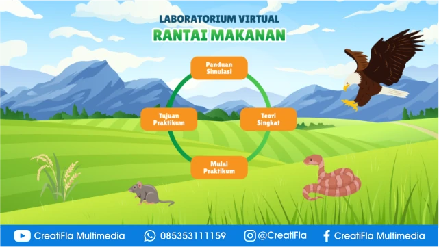 jasa Simulasi Rantai Makanan