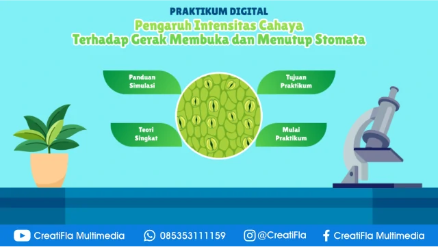 jasa Virtual Lab Pengaruh Cahaya pada Stomata