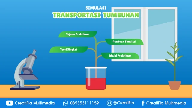 jasa Virtual Lab Transportasi Tumbuhan