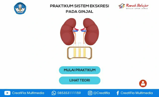 jasa Virtual Lab Sistem Ekskresi Pada Ginjal