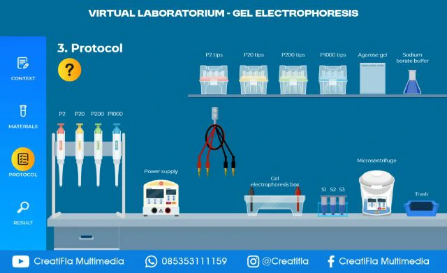jasa Virtual Lab Gel Electrophoresis